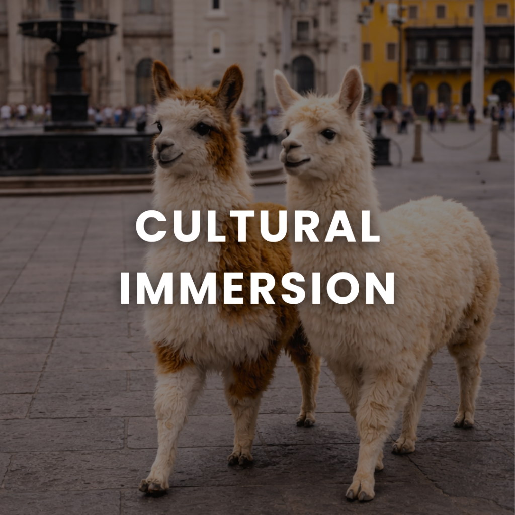 alt="Spanish immersion in Lima"