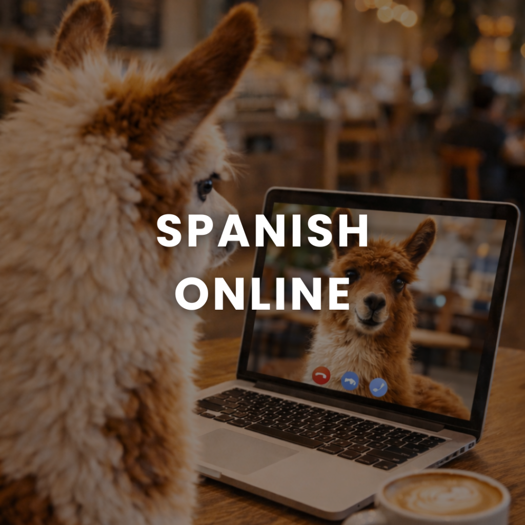 alt="Learn Spanish online"